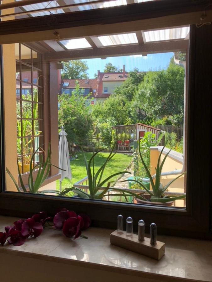 Ferienwohnung An Der Gruenen Clara Erfurt Exteriér fotografie