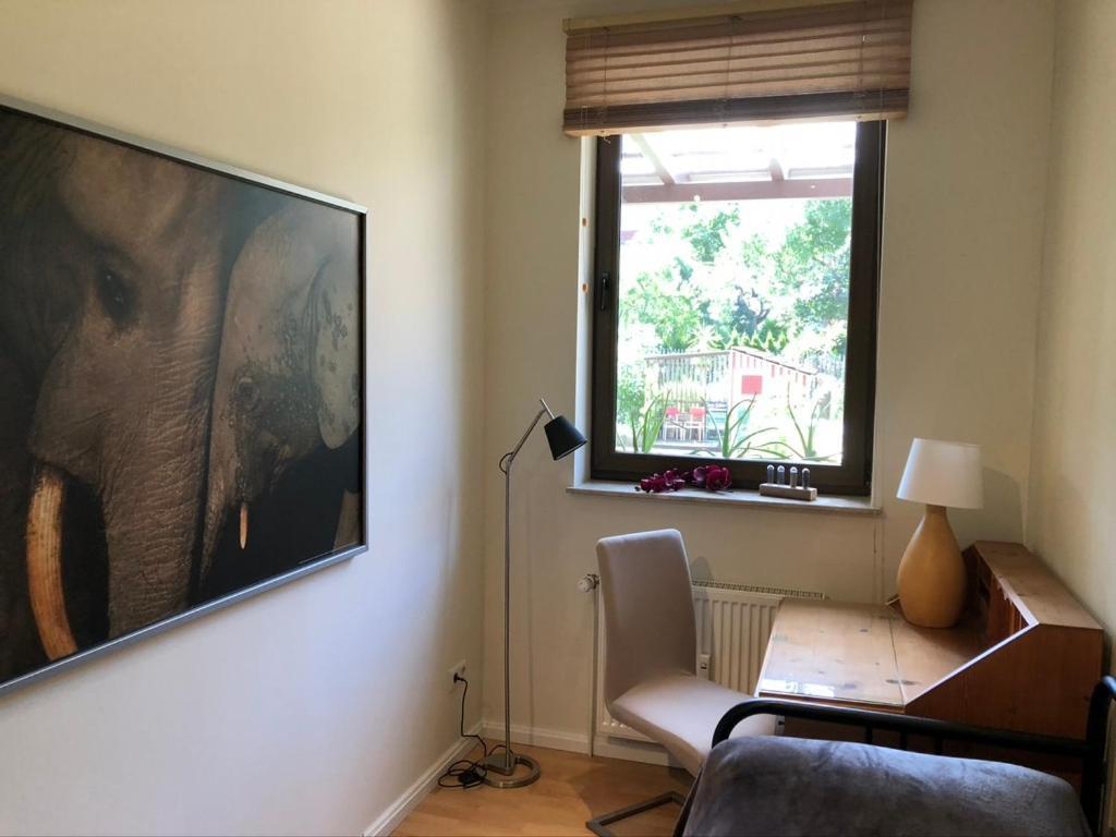 Ferienwohnung An Der Gruenen Clara Erfurt Exteriér fotografie